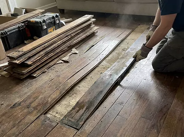 Water Damage Drying in Pine Lake