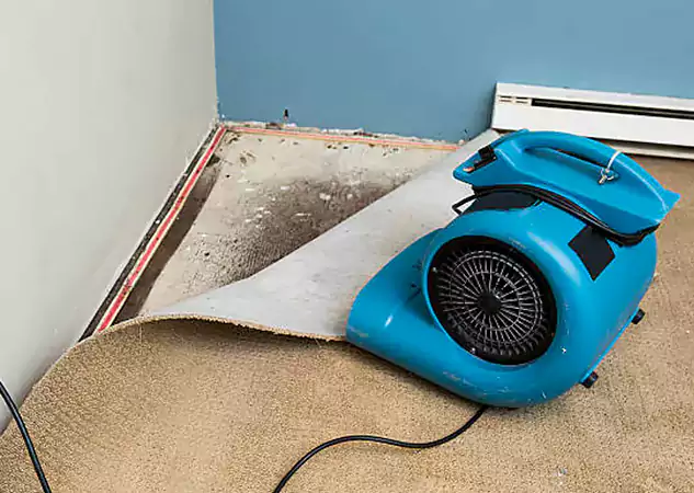 Your Water Damage Experts in Pine Lake, GA