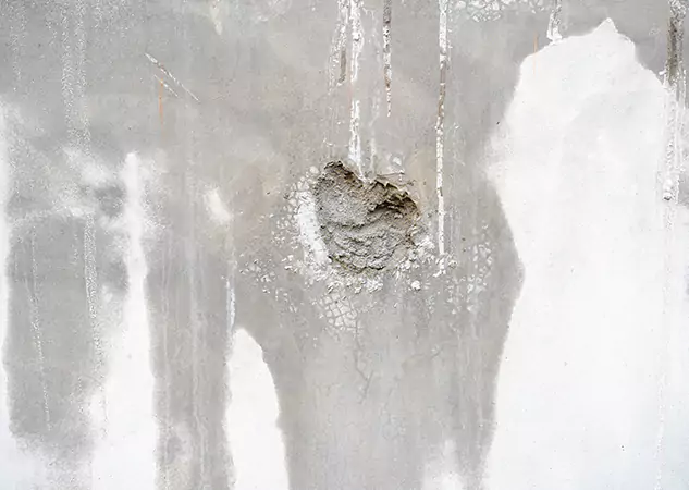 Your Mold Mitigation Solutions Partner in Pine Lake, GA