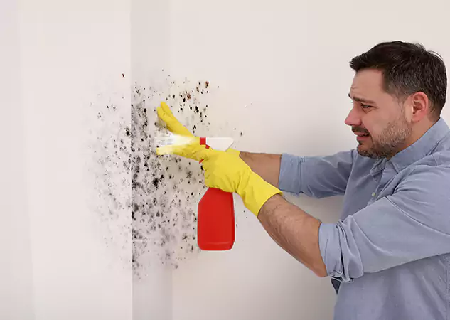 Your Water Mold Fire Restoration Partner in Pine Lake, GA