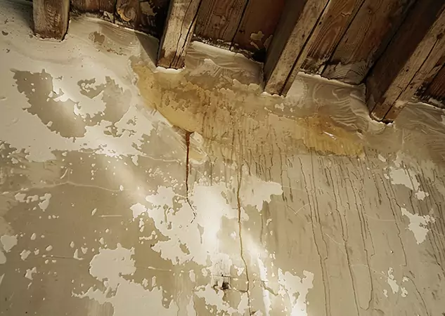 Your Trusted Restoration Company in Pine Lake, GA