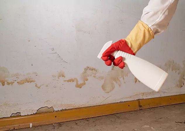 Your Water Restoration and Mold Remediation Specialists in Pine Lake, GA