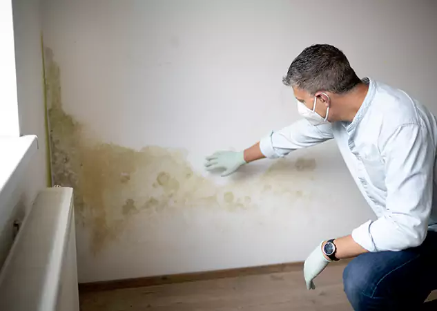 Reach Our Remediation Team Before Damage Grows in Pine Lake, GA!