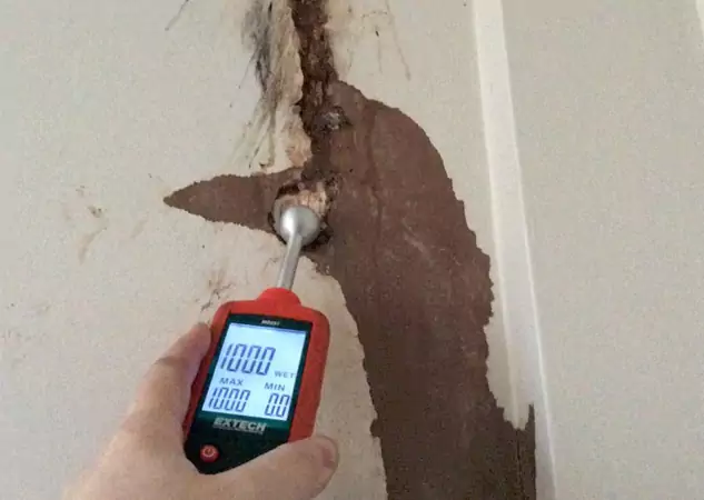 Your Water Damage Assessment Partner in Pine Lake, GA