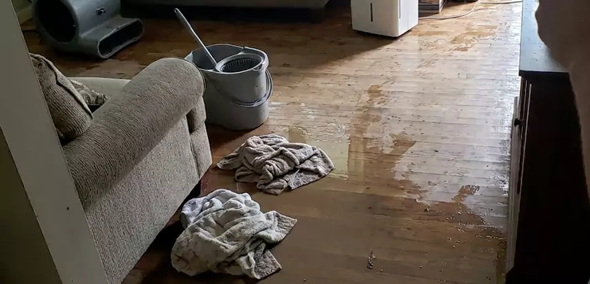 Professional Basement Water Remediation Services in Pine Lake, GA