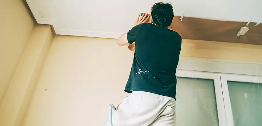 Ceiling Water Damage Repair in Pine Lake