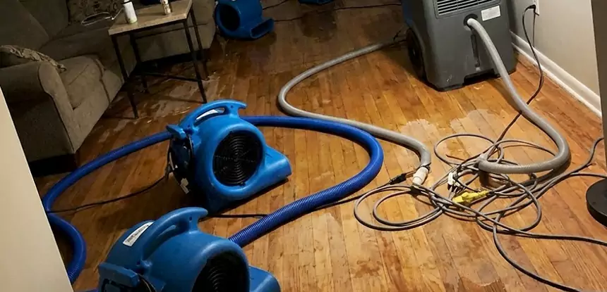 Basement Flood Restoration Services in Pine Lake
