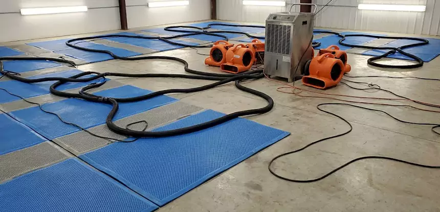 Large-Scale Water Cleanup in Pine Lake