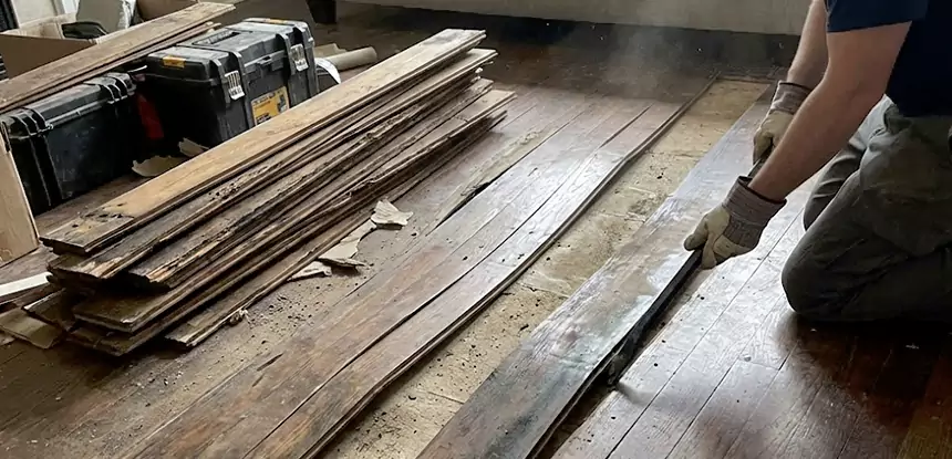 Wood Rot and Fungus Repair in Pine Lake