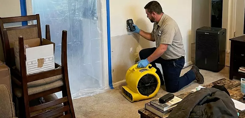 Carpet Water Damage Repair Pine Lake