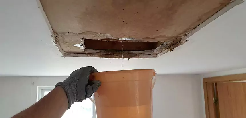 Ceiling Mold Repair Pine Lake