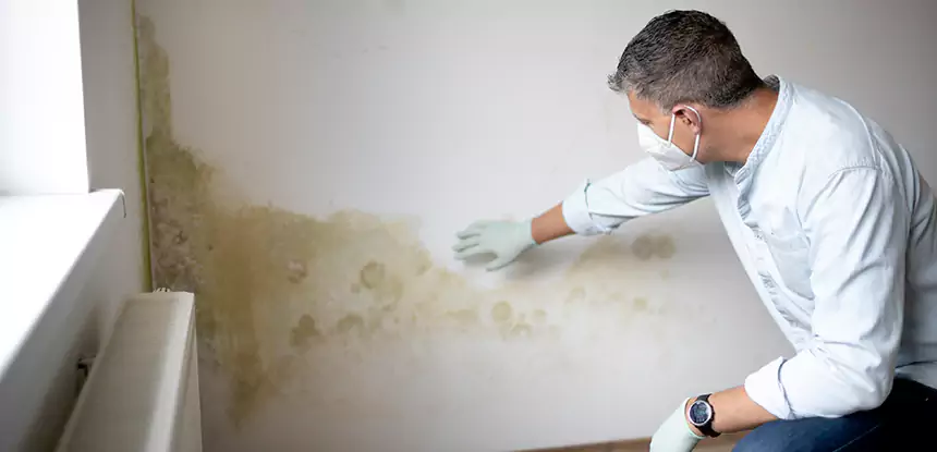 Mold and Water Damage Repair in Pine Lake