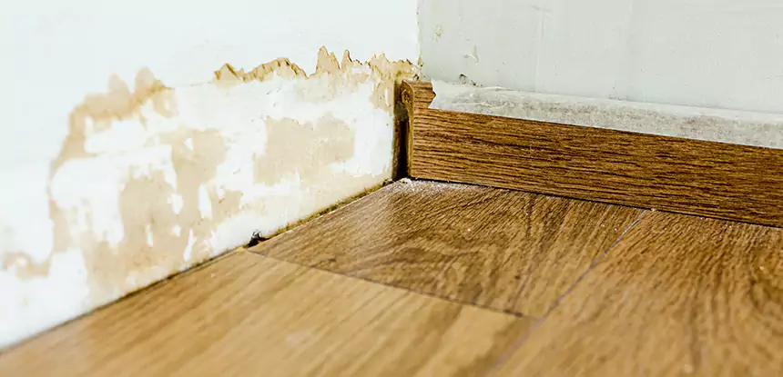 Professional Fix Water Damaged Wood Services in Pine Lake, GA