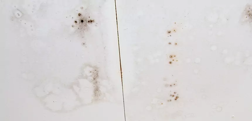 Professional Water Stain Repair Services in Pine Lake, GA