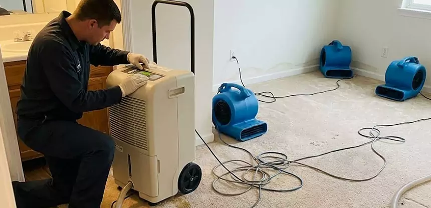 Professional Wet Carpet Removal Services in Pine Lake, GA