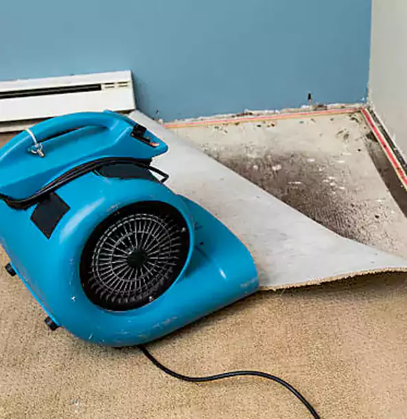 Why Pine Lake Trusts Pine Lake Restoration Pro for Carpet Flood Recovery?