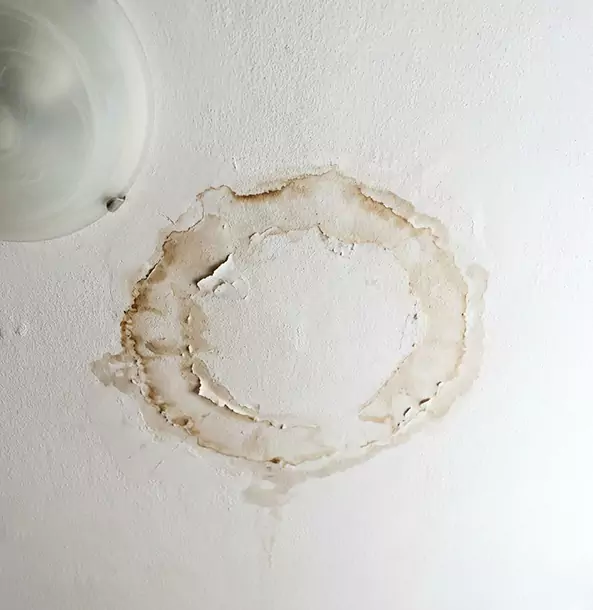 Why Pine Lake Property Owners Choose Pine Lake Restoration Pro for Ceiling Water Damage Restoration?