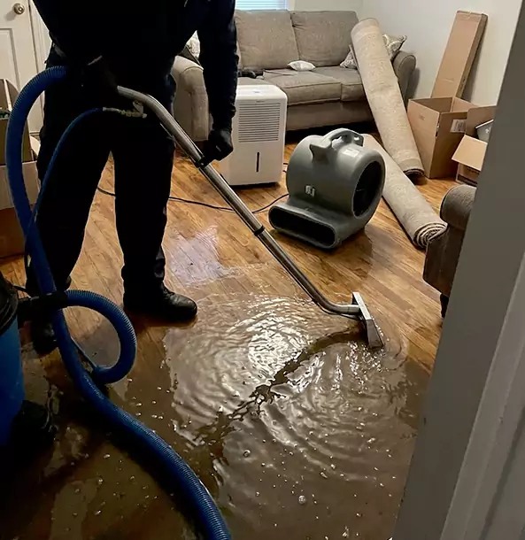 Why Pine Lake Trusts Pine Lake Restoration Pro for Flood Cleanup?