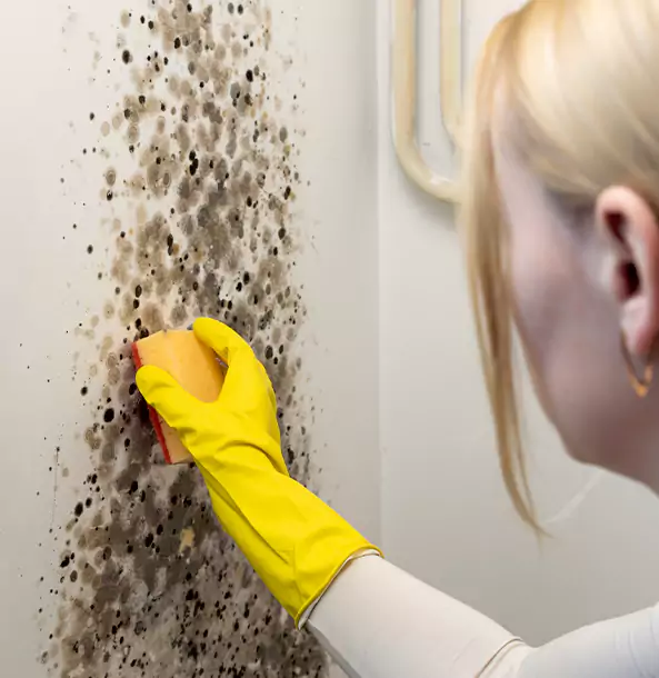 Why Pine Lake Restoration Pro Leads Mold Remediation in Pine Lake?