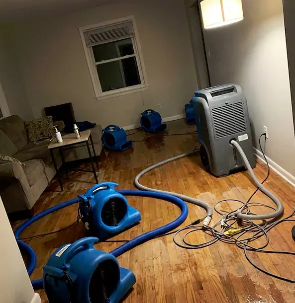 Why Pine Lake Property Owners Rely on Pine Lake Restoration Pro for Remediation?