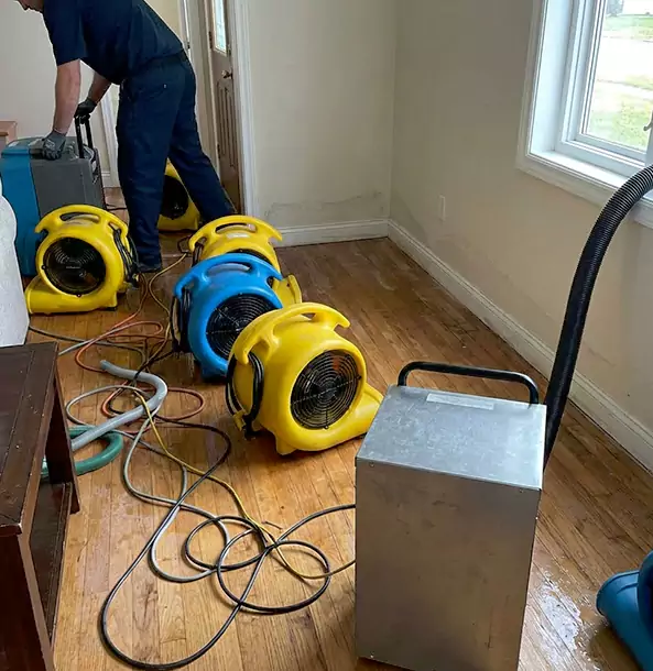 Why Pine Lake Property Owners Choose Pine Lake Restoration Pro for Remediation?