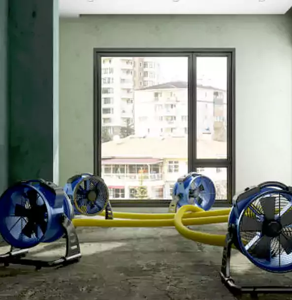 Why Pine Lake Property Owners Trust Pine Lake Restoration Pro for Water Damage Drying?