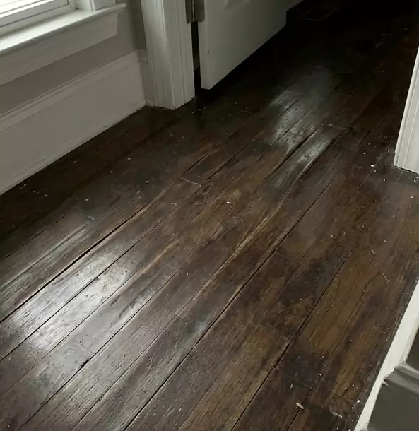 Why Pine Lake Homeowners Trust Pine Lake Restoration Pro to Fix Water Damaged Wood?