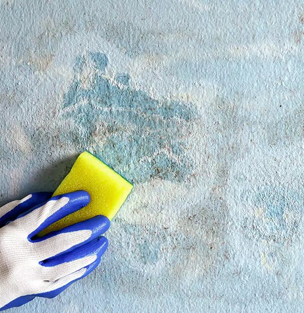 Why Pine Lake Restoration Pro Is the Right Choice in Pine Lake, GA?