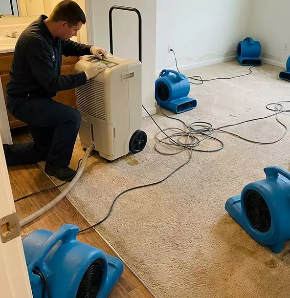 Why Pine Lake Homeowners and Businesses Trust Pine Lake Restoration Pro for Carpet Drying?