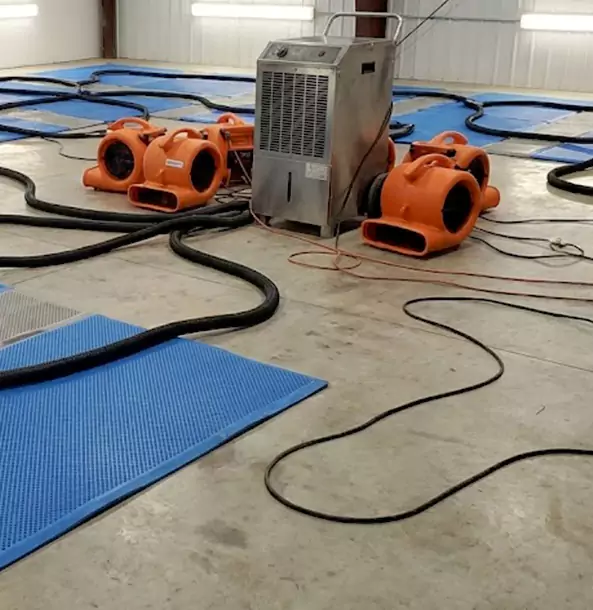 Why Pine Lake Homeowners and Businesses Choose Pine Lake Restoration Pro for Wet Carpet Removal?