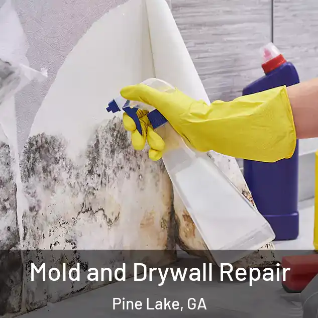  Mold and Drywall Repair Pine Lake, GA