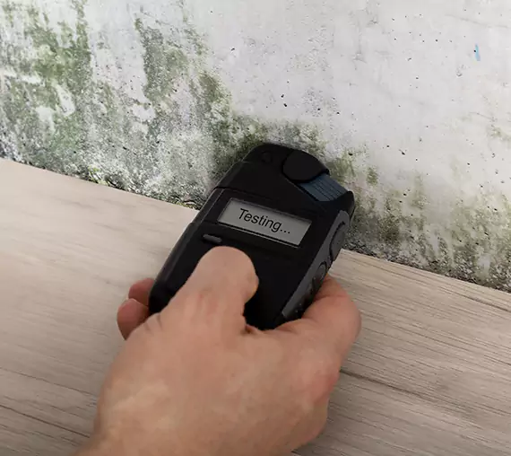 Mold Remediation Service Pine Lake